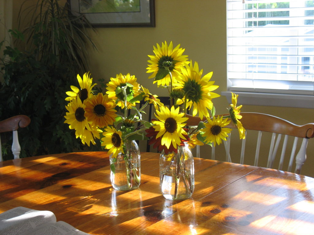 sunflowers on the table